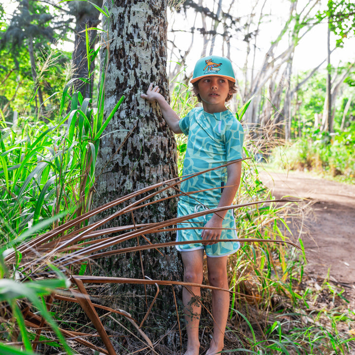 BEACH COMBER PISTACHE TRUNK