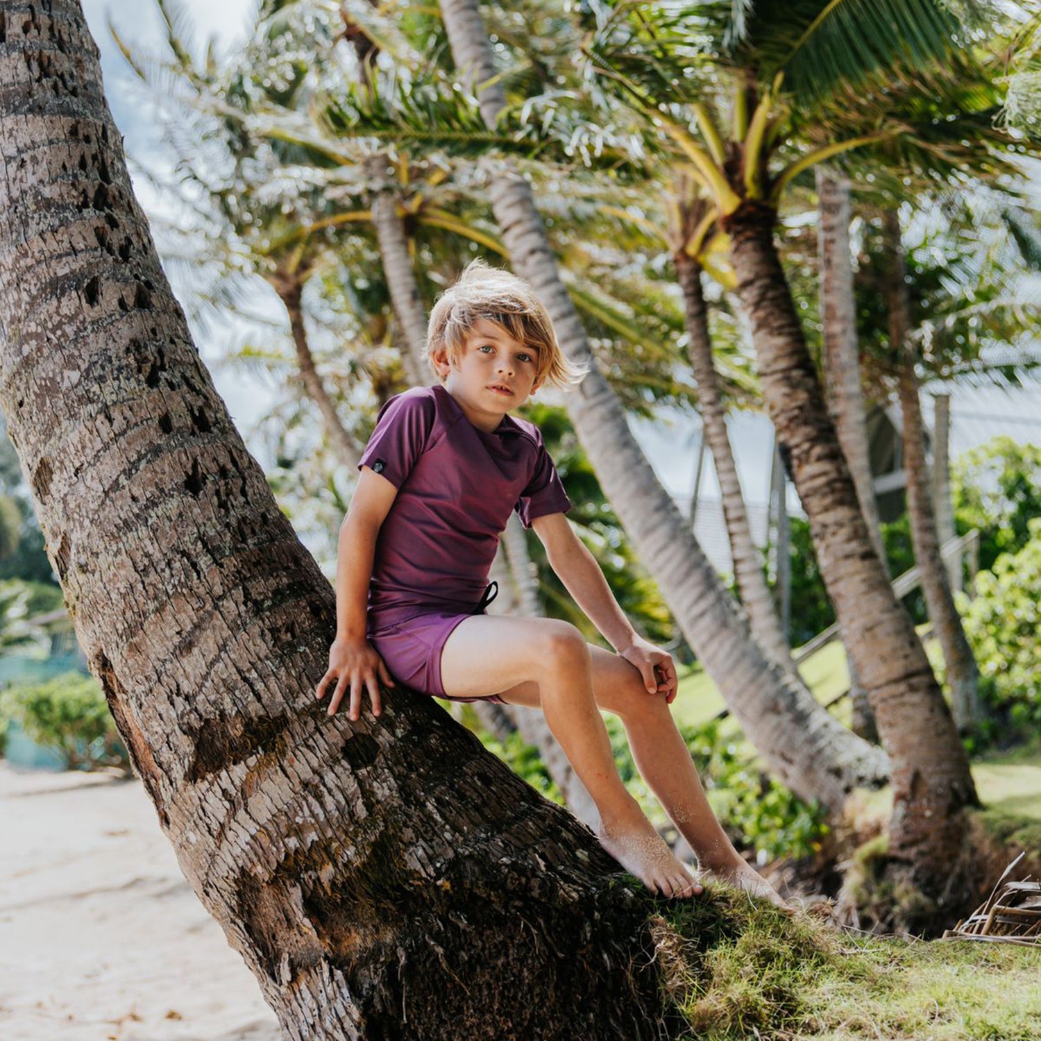 VIOLET SHELL SWIMSHORT